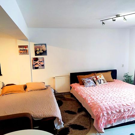 Studioul De Vis Apartment Брашов Екстериор снимка