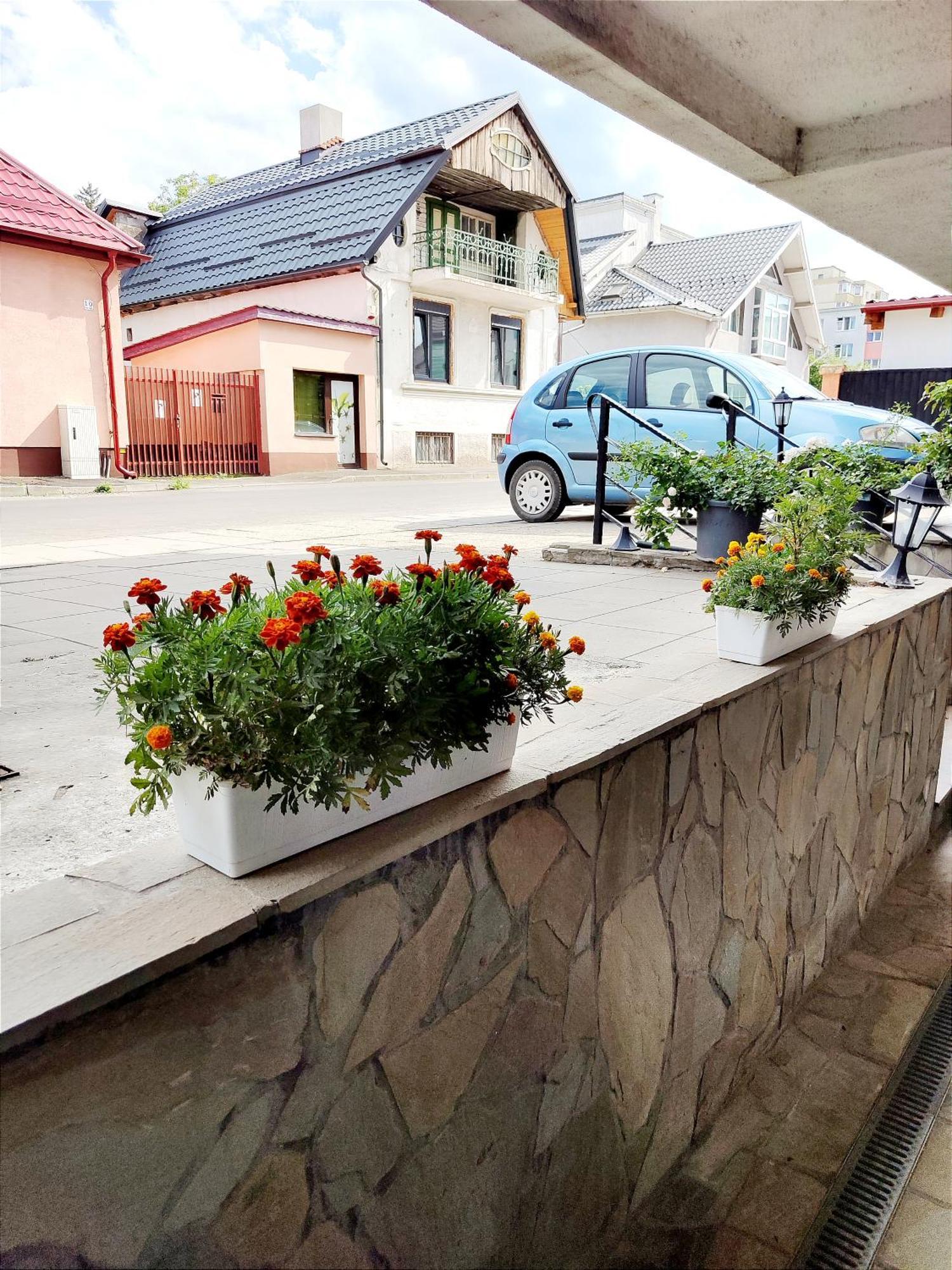Studioul De Vis Apartment Брашов Екстериор снимка