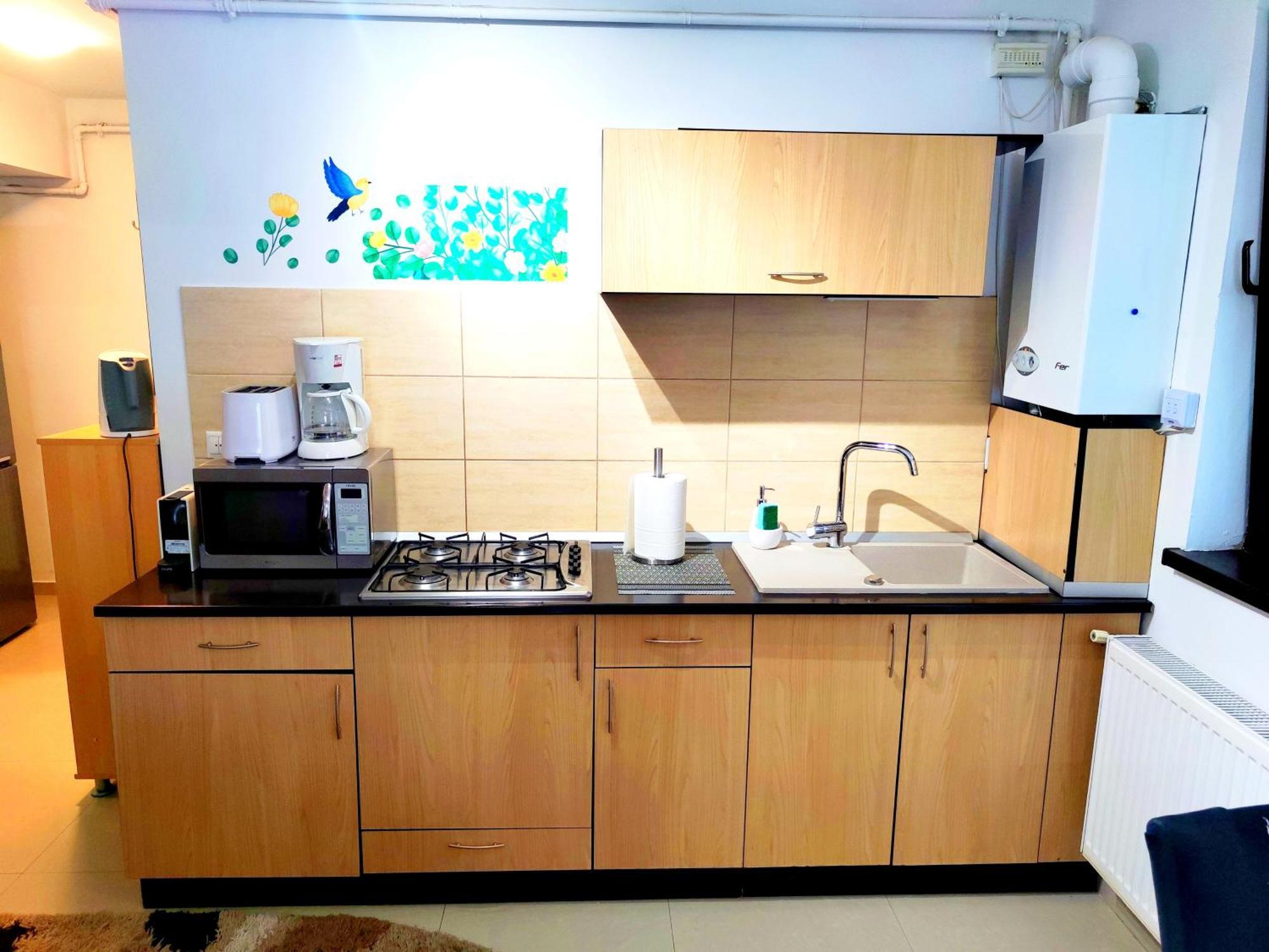 Studioul De Vis Apartment Брашов Екстериор снимка