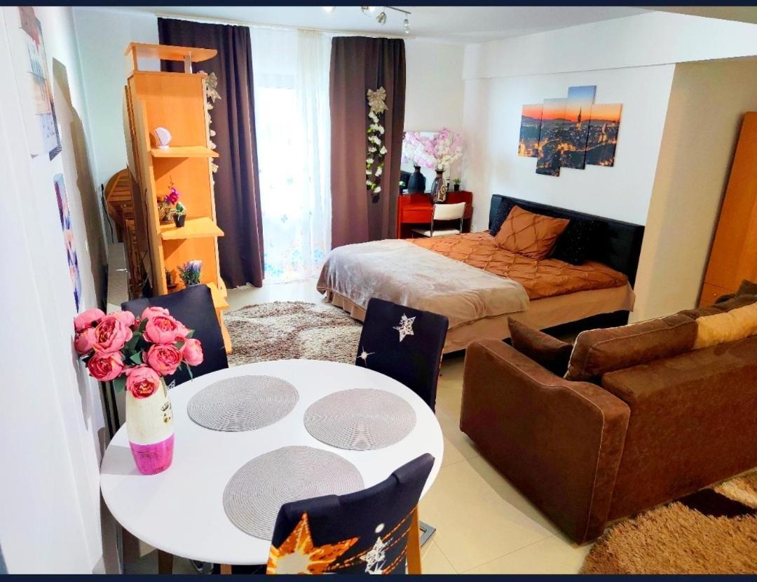 Studioul De Vis Apartment Брашов Екстериор снимка