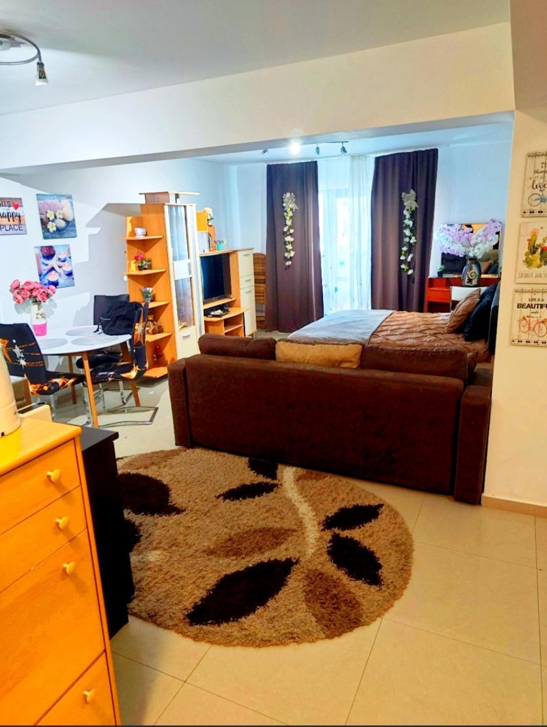 Studioul De Vis Apartment Брашов Екстериор снимка