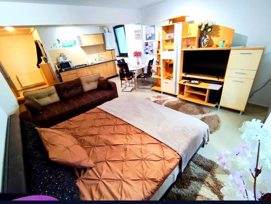 Studioul De Vis Apartment Брашов Екстериор снимка